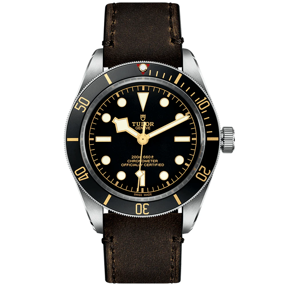 TUDOR Black Bay 58 39mm Black Dial & Bezel Automatic Strap Watch M79030N-0002