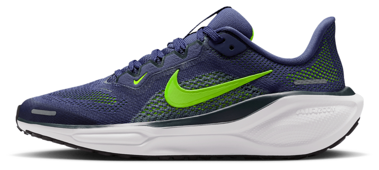 Nike Air Zoom Pegasus 41