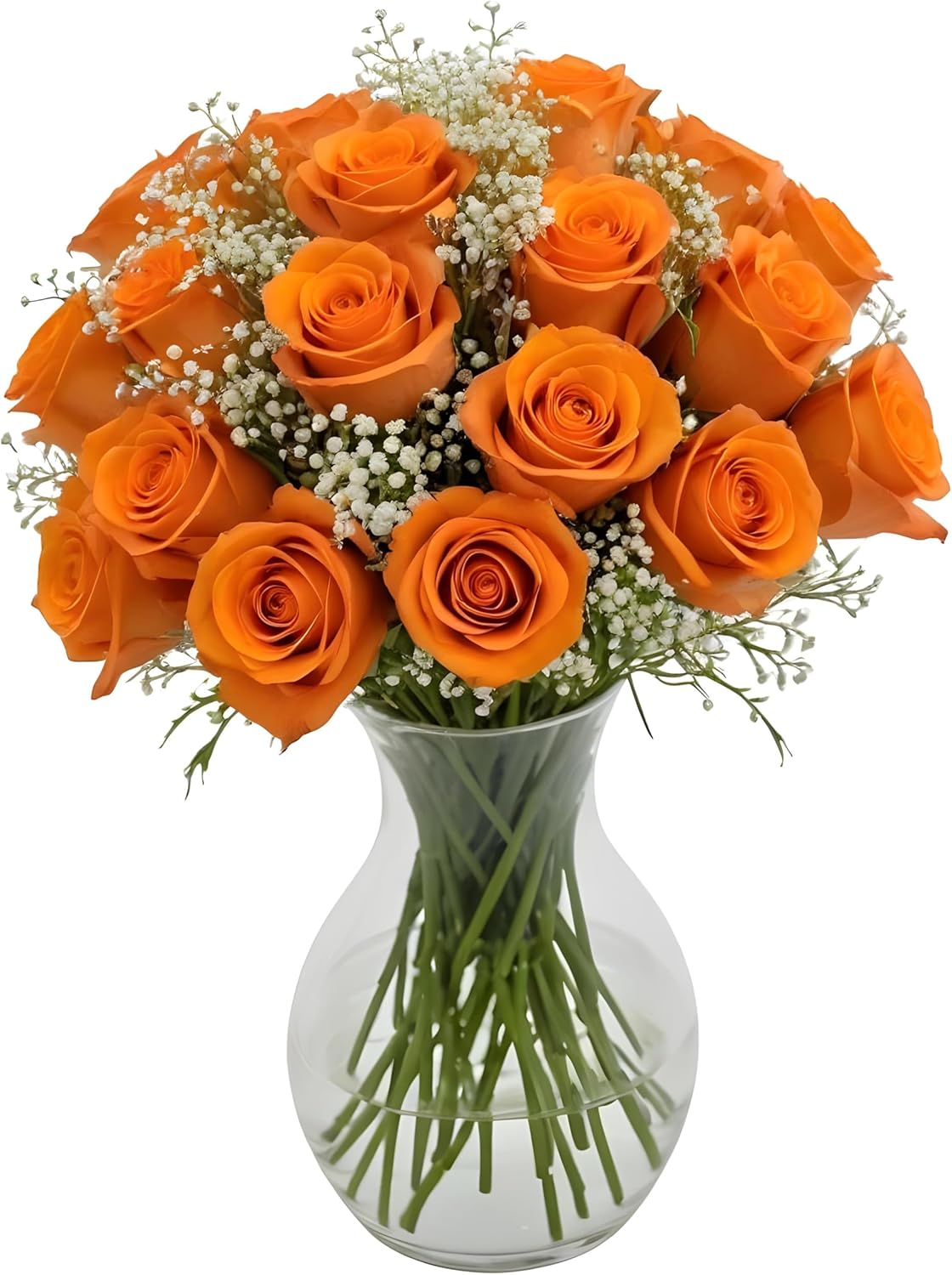 18 Orange Roses + Baby's Breath in Glass Vase | Arabella Bouquets | Real Fresh Flowers for Delivery, Gift for Birthday, Congratulations, Anniversary