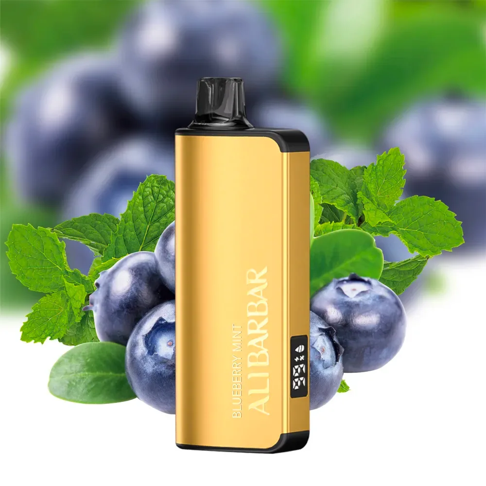 Alibarbar Ingot 9000 Puffs – Blueberry Mint