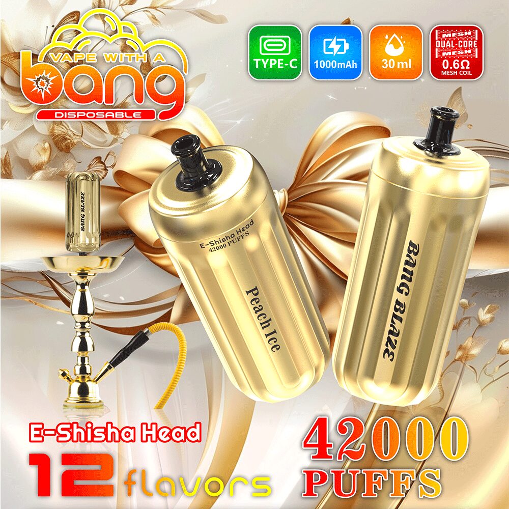 Bang E-Shisha Head 42K Disposable Vape(3 pieces)