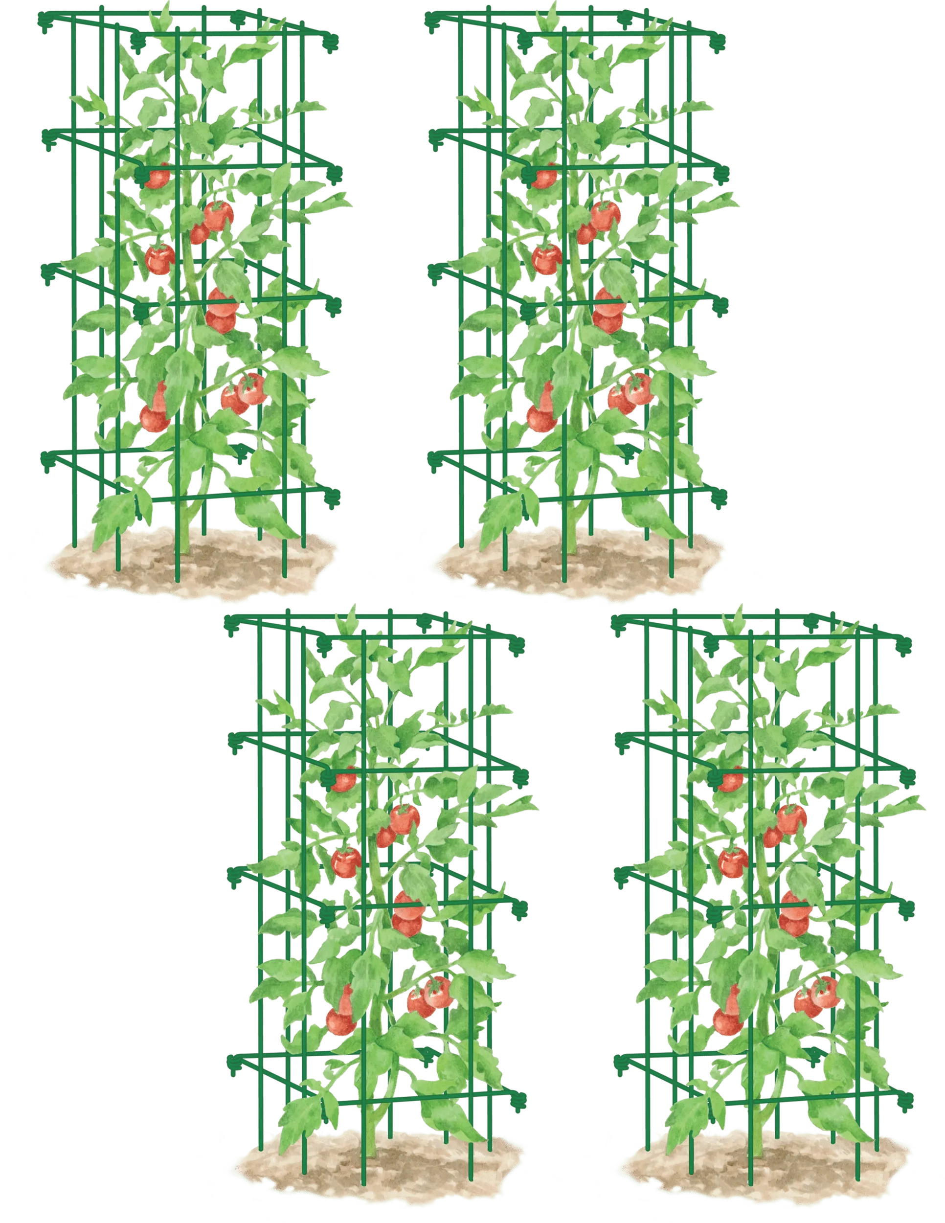 Tomato Cages, Set of 4