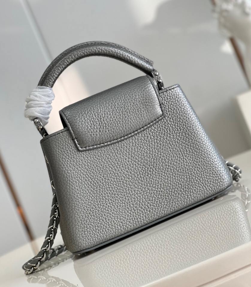 Louis Vuitton Capucines Gray 21Cm