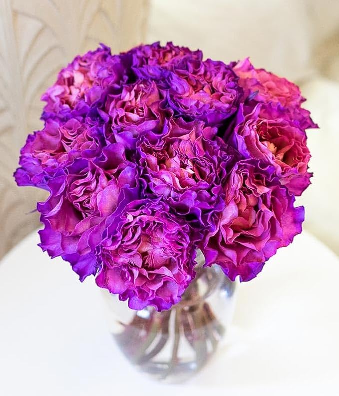 From You Flowers - One Dozen Magenta Roses with Glass Vase | Fresh Flower Bouquets for Birthday, Anniversary, Get Well or Celebration