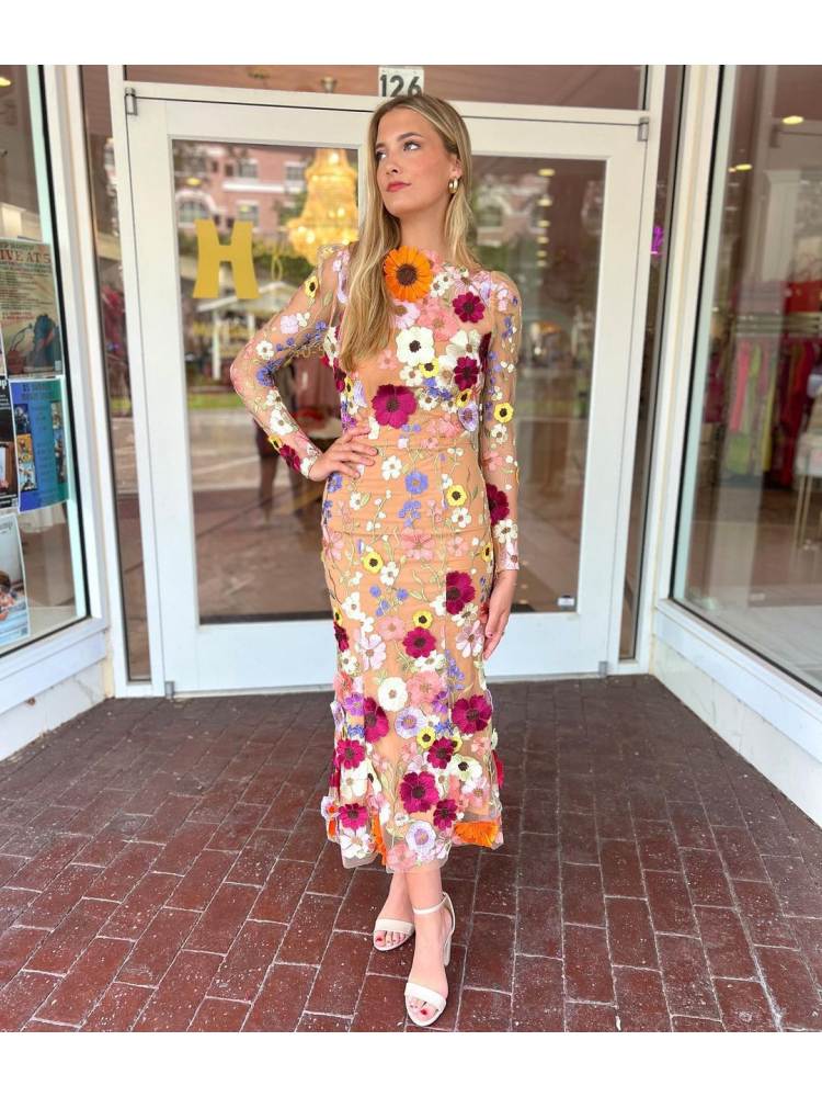Flower Embroidery Sheer Fitted Maxi Dress