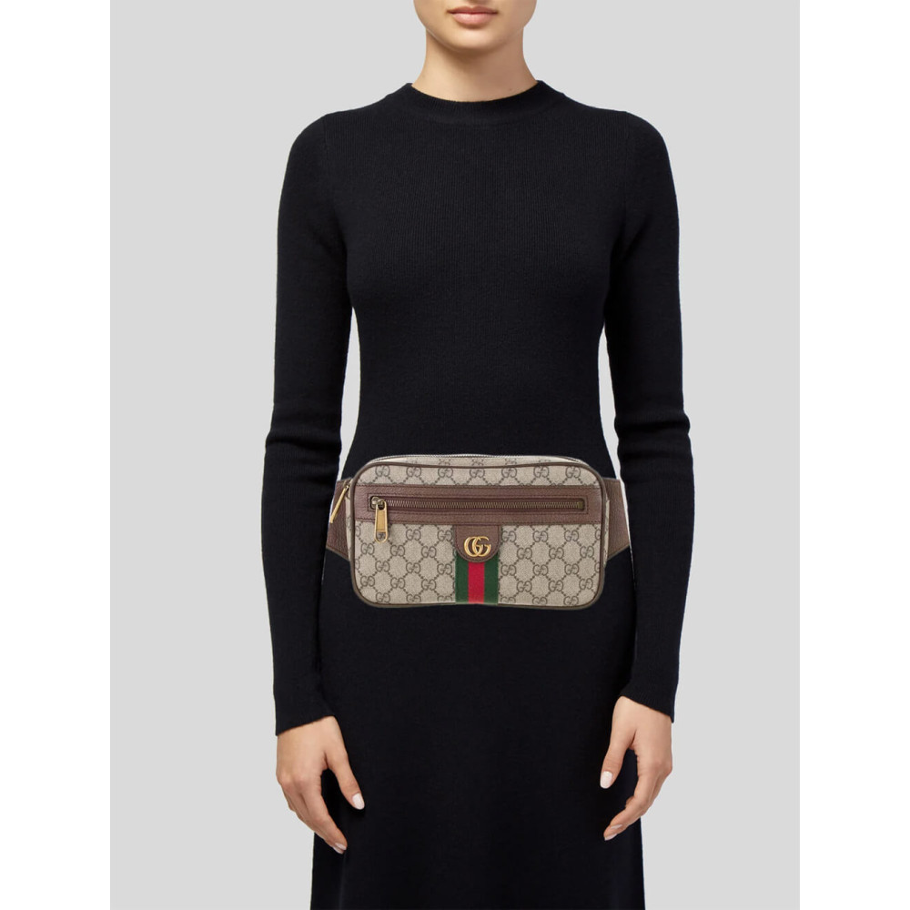 Gucci Ophidia GG Belt Bag
