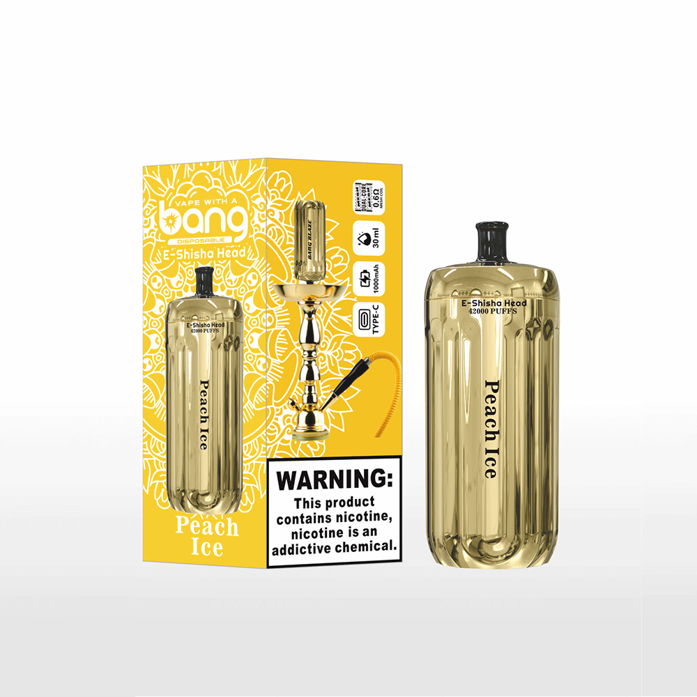 Bang E-Shisha Head 42K Disposable Vape(3 pieces)