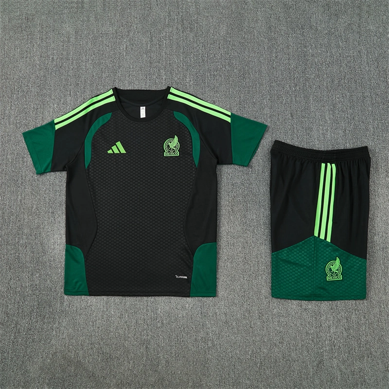2026-27 Mexico Short-sleeved training clothese