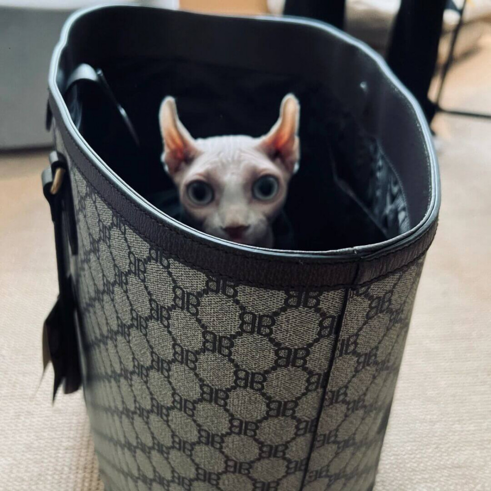 Balenciaga x Gucci Hacker Graffiti Large Tote Bag