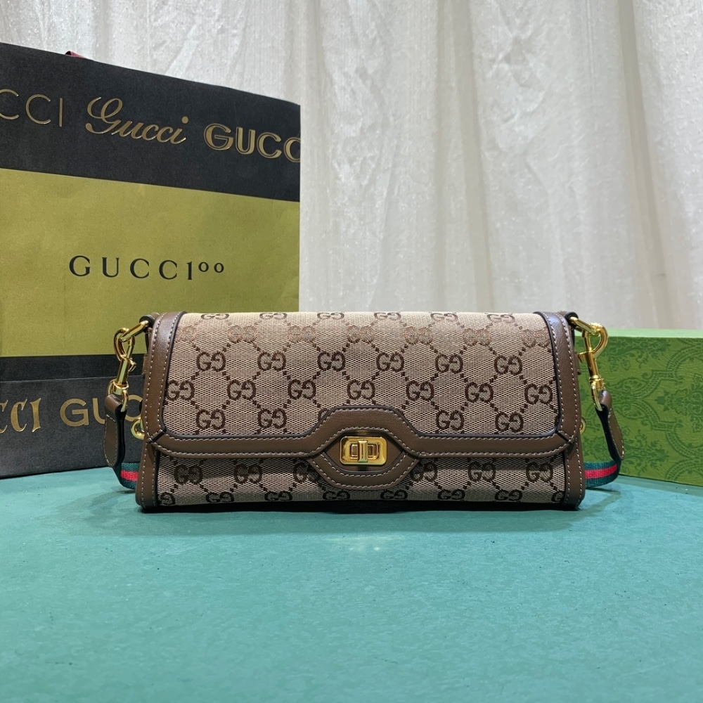 Gucci Luce Small Shoulder Bag Beige And Ebony 27Cm 786027 FADAC 9762