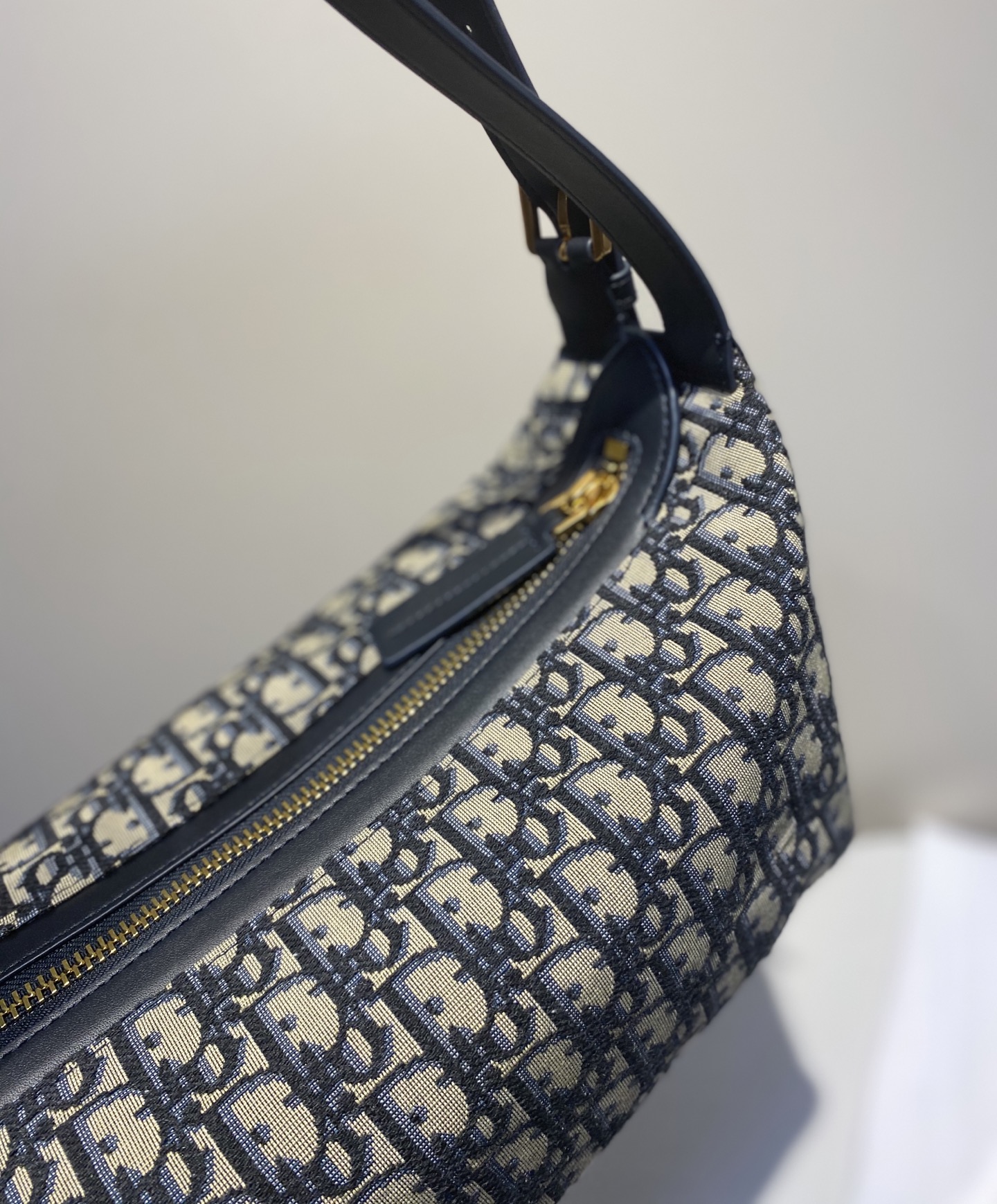 CD Journey Hobo Bag