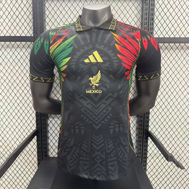 Player 2025-26 Mexico Special Edition Football jersey