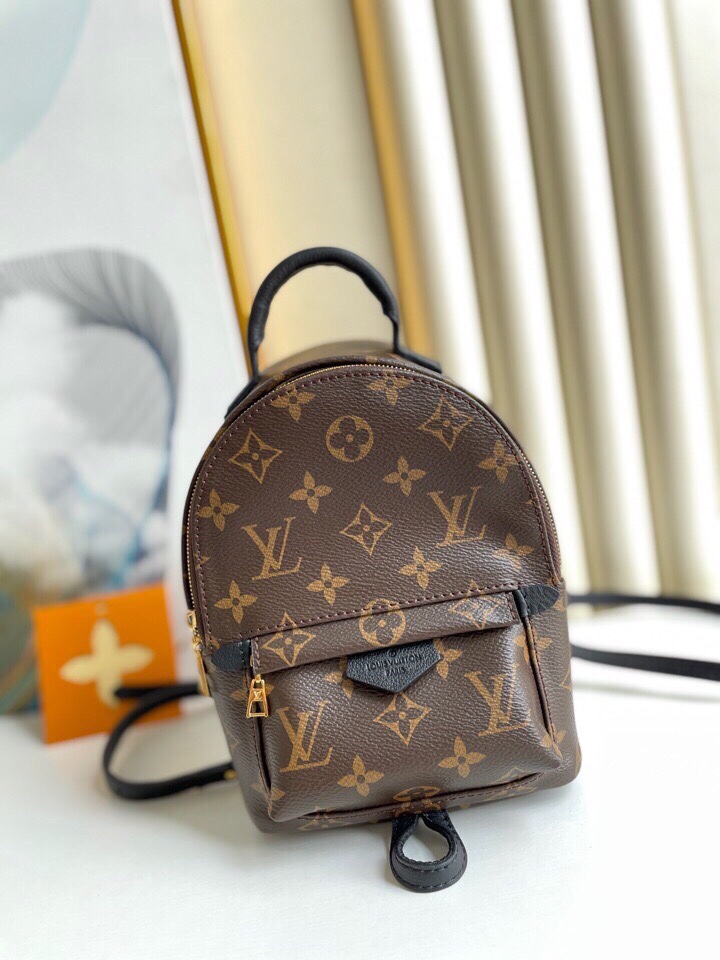 Louis Vuitton Palm Springs Backpack Mini Monogram Canvas – 17cm/6.7in
