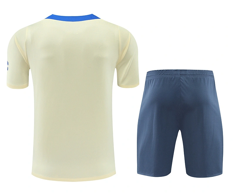 2024-25 Inter Milan Short-sleeved training clothese
