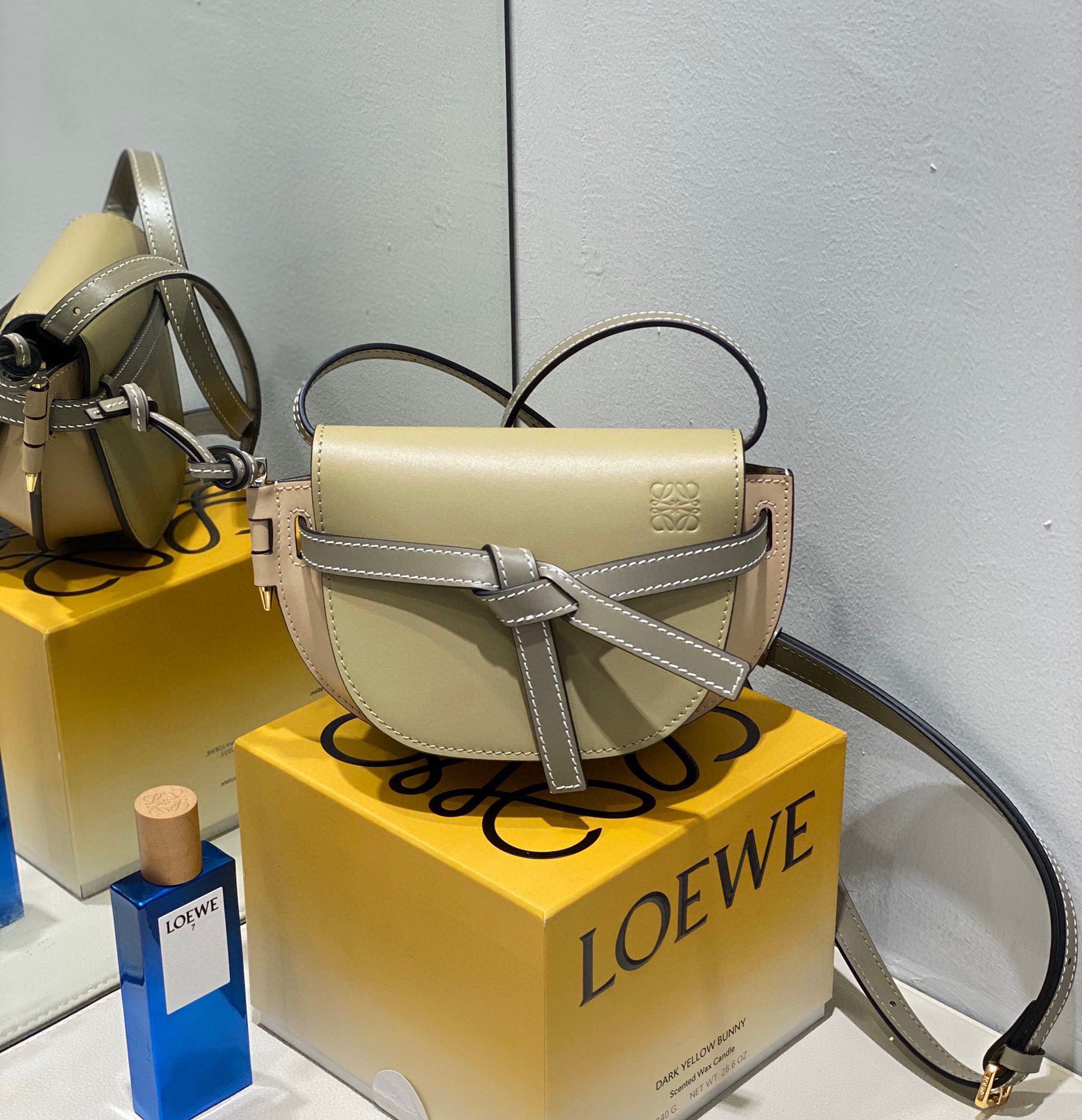 Loewe Gate Dual Mini Bag