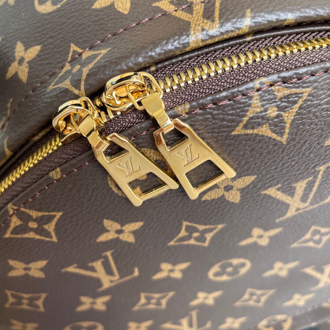 Louis Vuitton Palm Springs Backpack MM Monogram Canvas 28cm/11in M44874