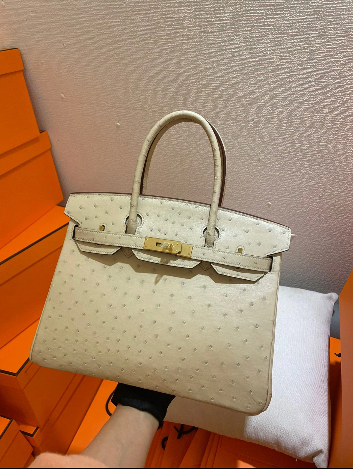 Advanced customization Birkin 25-30 Ostrich skin