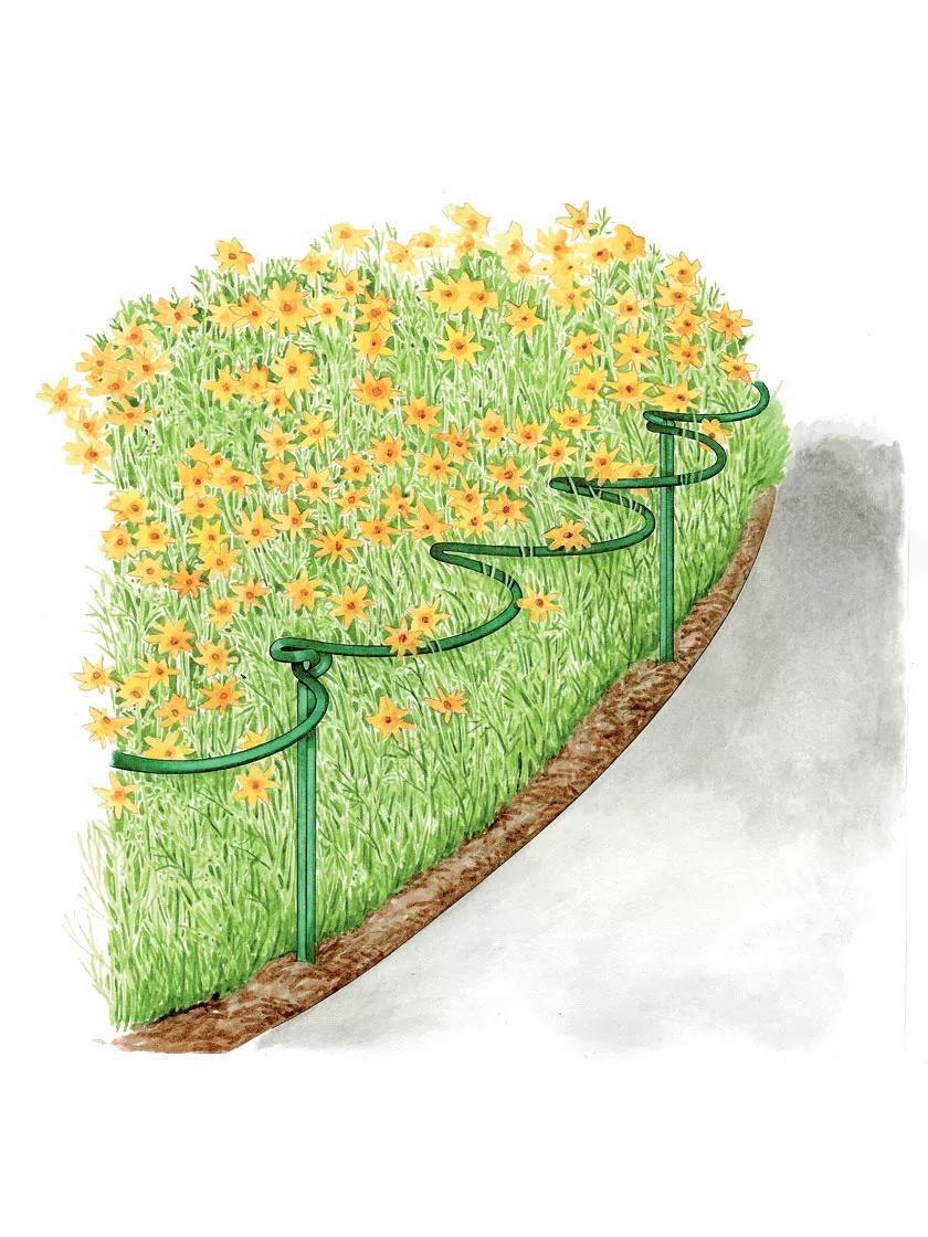 Tidy Path Supports