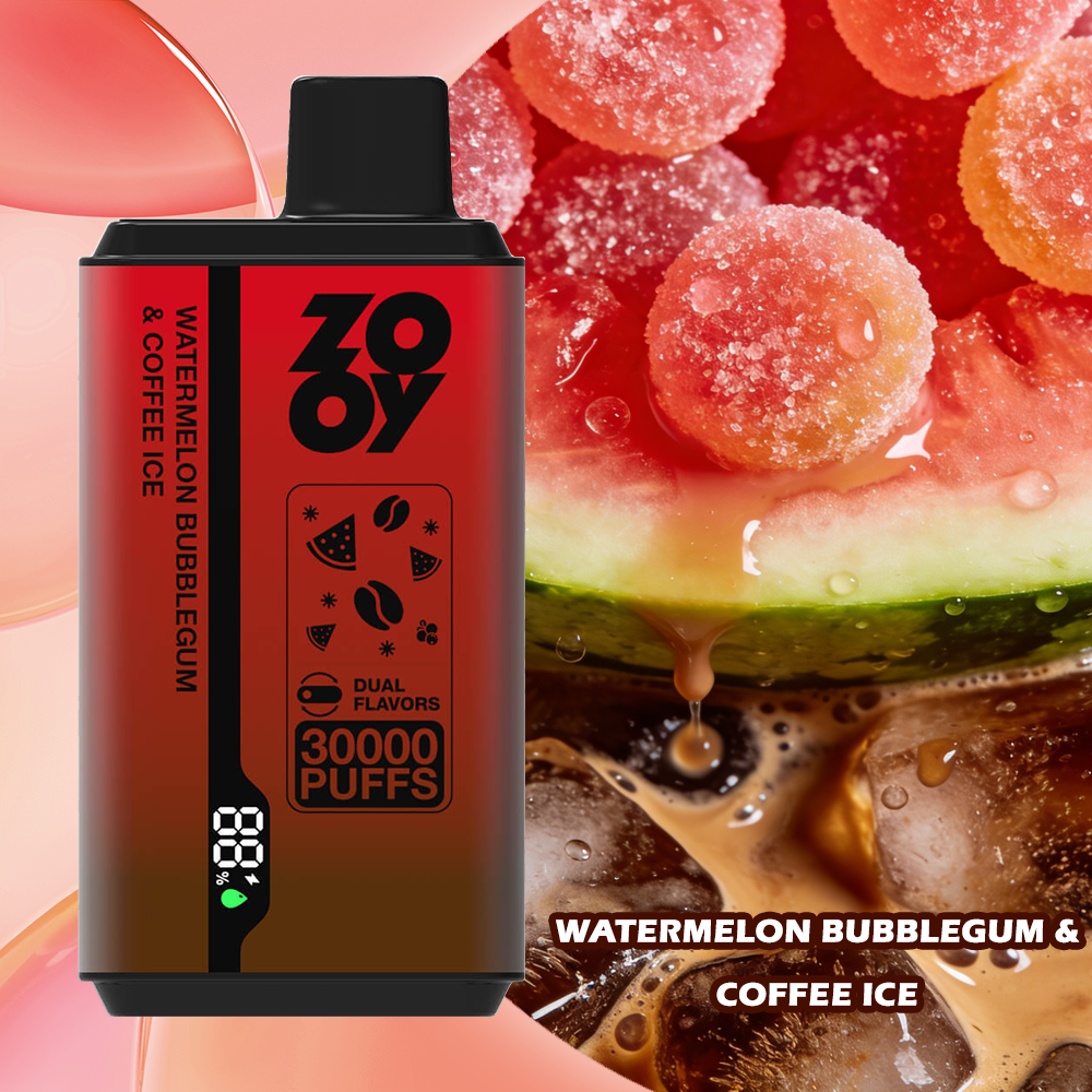 ZOOY Twins 30000 PUFF