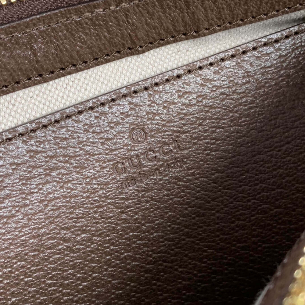 Gucci Ophidia GG Small Handbag