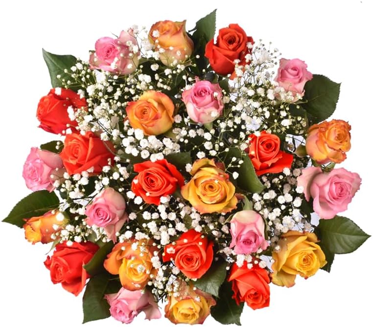 Floral Compass by Nature’s Flowers - Rainbow Brights Double Dozen Rose Bouquet - Valentine's Day Gifts, 24 Fresh Cut Roses for Delivery, Petite Stems, No Vase