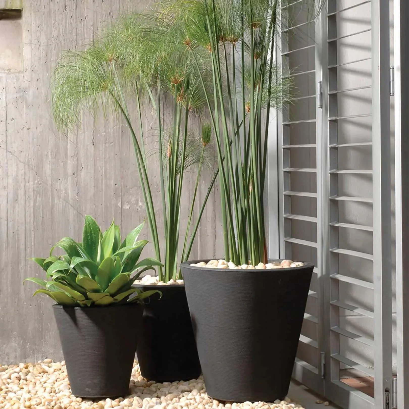 Madison Planters