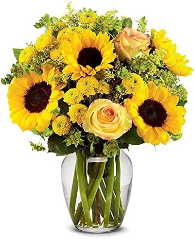 From You Flowers - Brilliant Sunflower & Rose Bouquet with Glass Vase | Fresh Flower Bouquets for Birthday, Anniversary, Get Well or Celebration