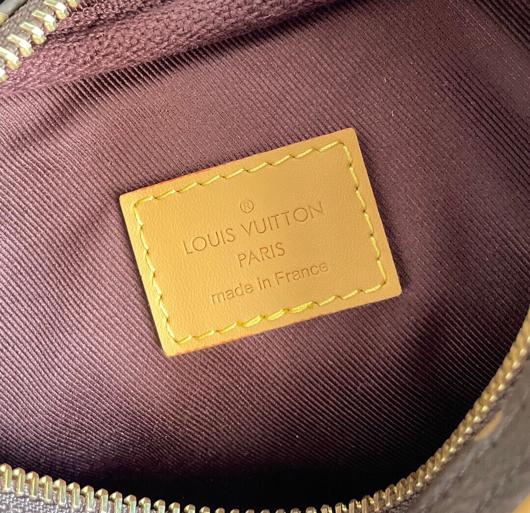Louis Vuitton Loop Bag Monogram Canvas M81098 23cm/9.1in