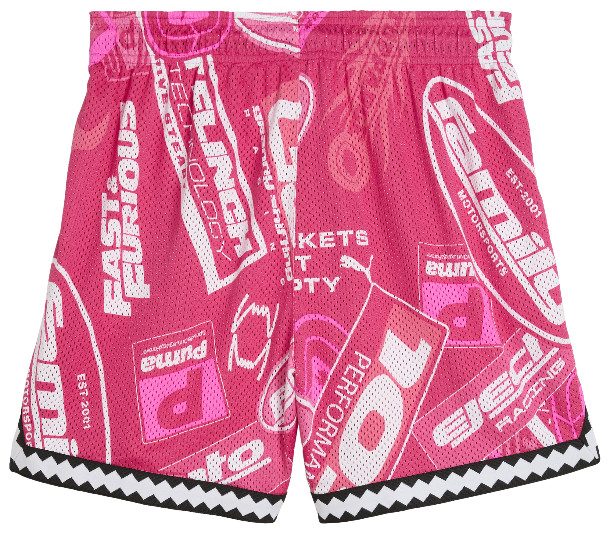 PUMA x Fast & Furious Reversible Mesh 6