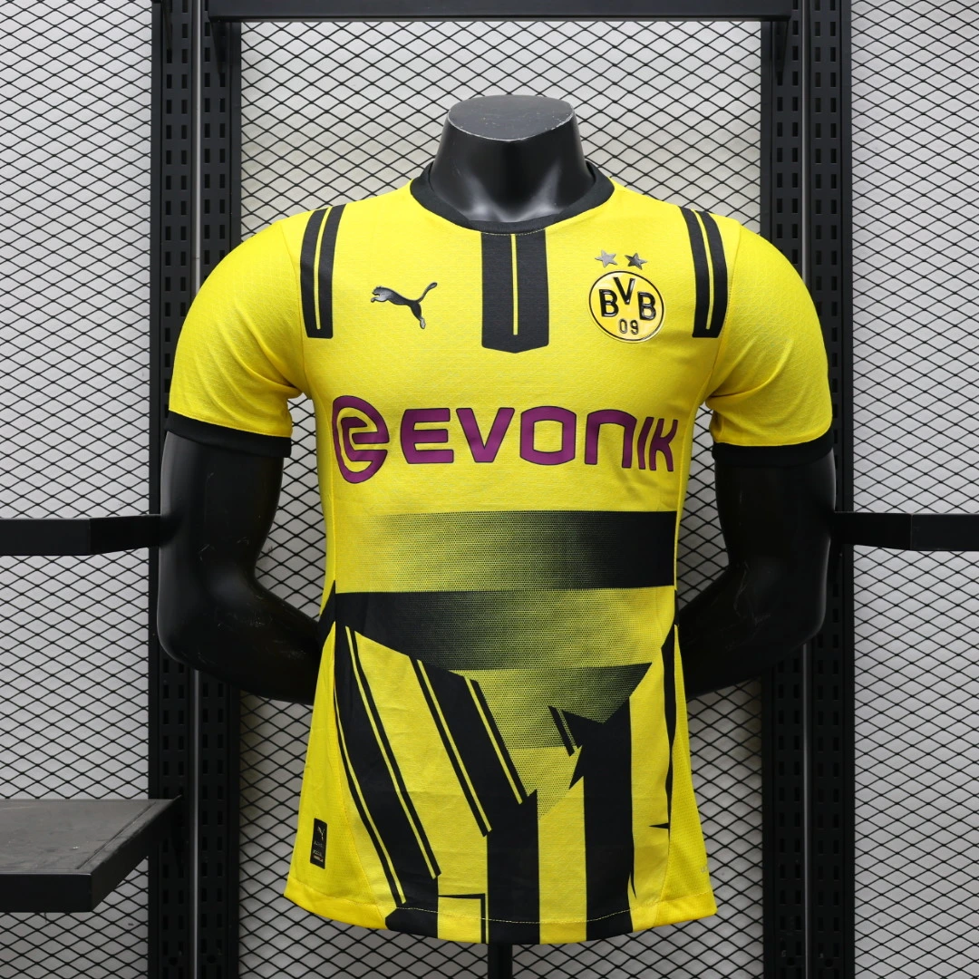 Player 2024-25 Dortmund Special Edition Football Jersey