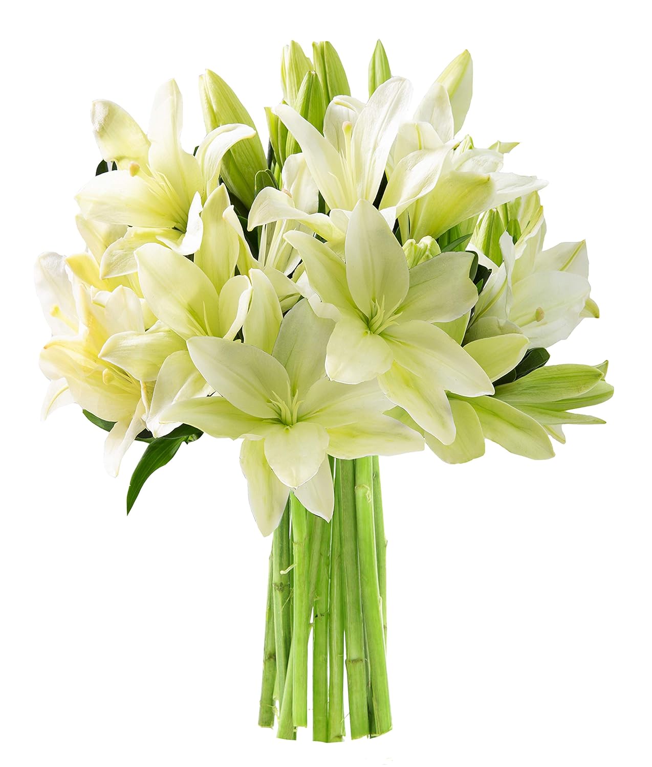KaBloom PRIME NEXT DAY DELIVERY - Mother’s Day Collection - Bouquet of 10 Lilies and Lush Greens (Fresh ) .Gift for Birthday, Get Well, Thank You, Valentine, Mother’s Day Fresh Flowers