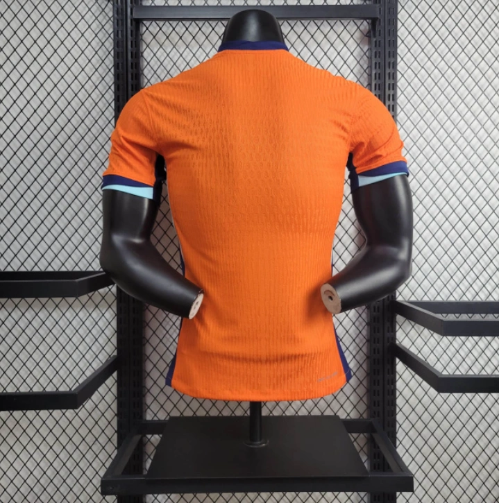 Player 2024-25 Netherlands Home Football jersey