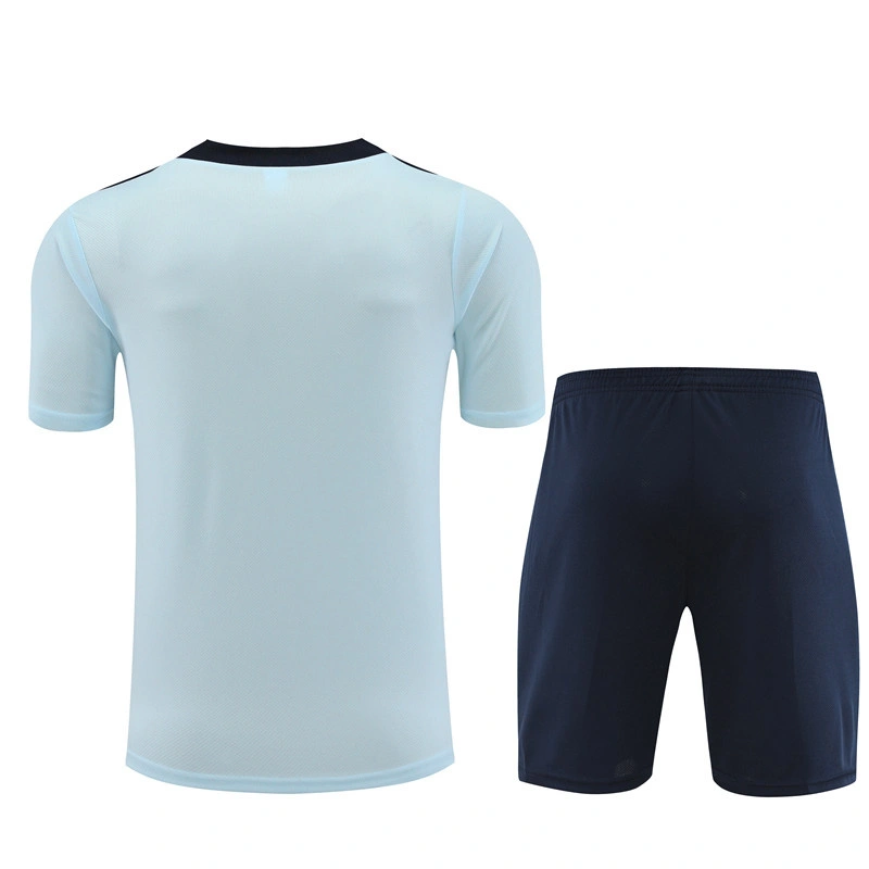 2024-25 France Short-sleeved training clothes