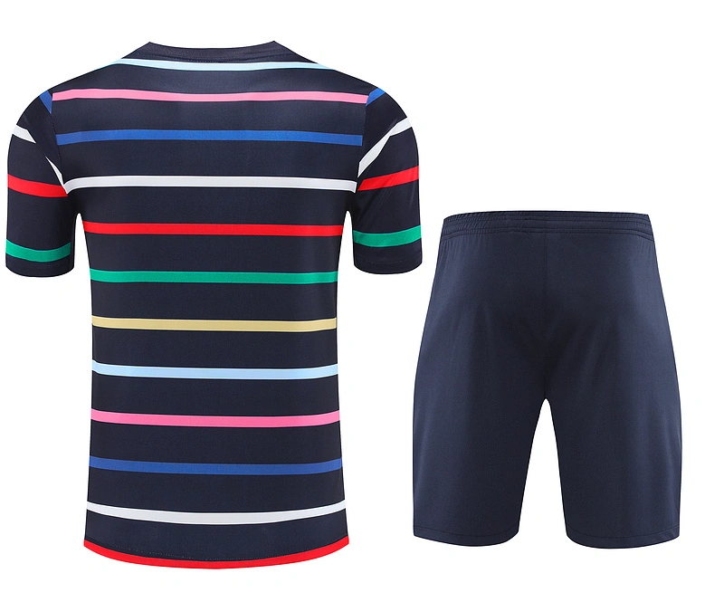 2024-25 France Short-sleeved training clothes