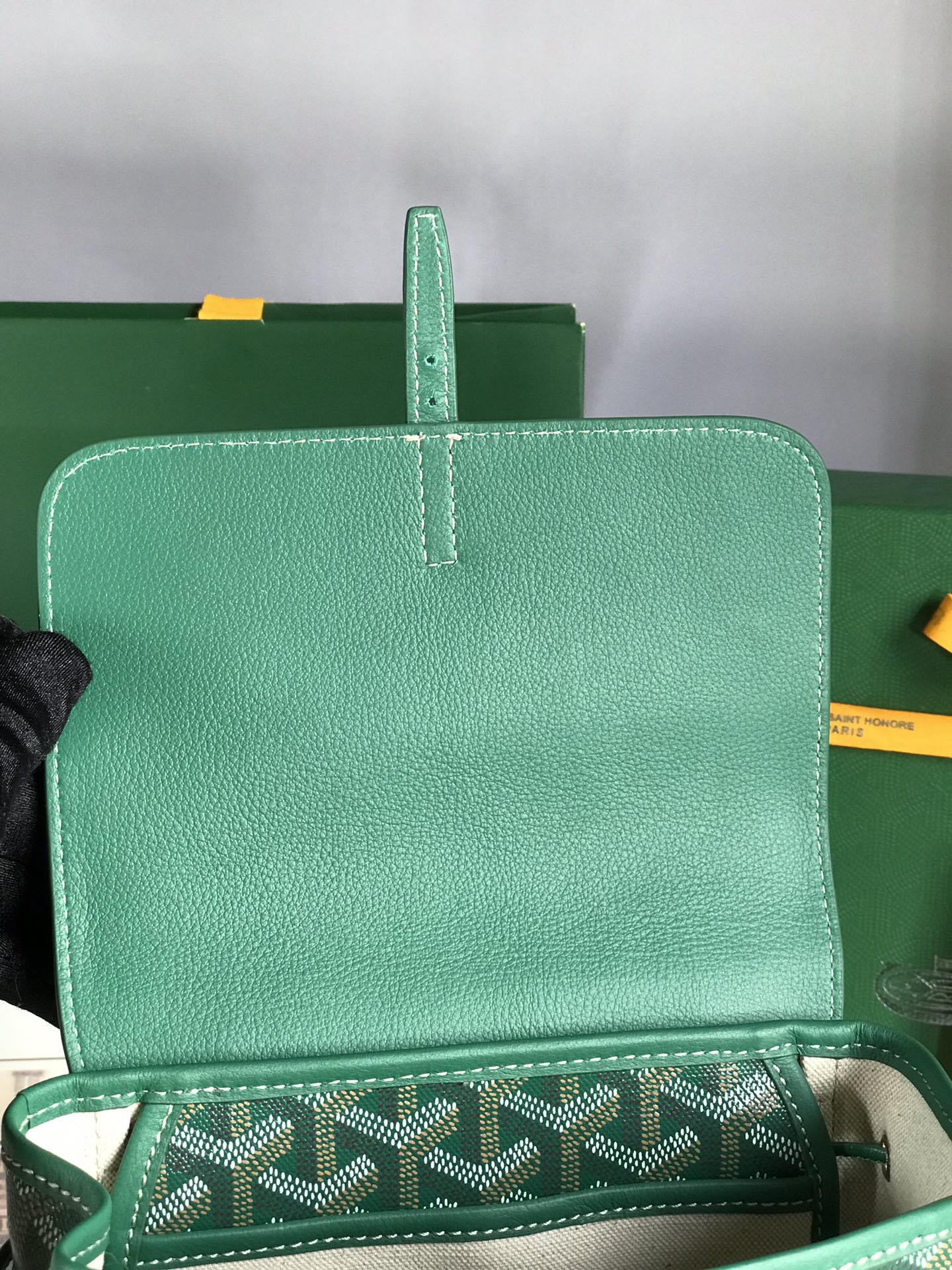 Goyard Alpin Mini Backpack 21 Cm Green Lambskin And Goyardine Canvas