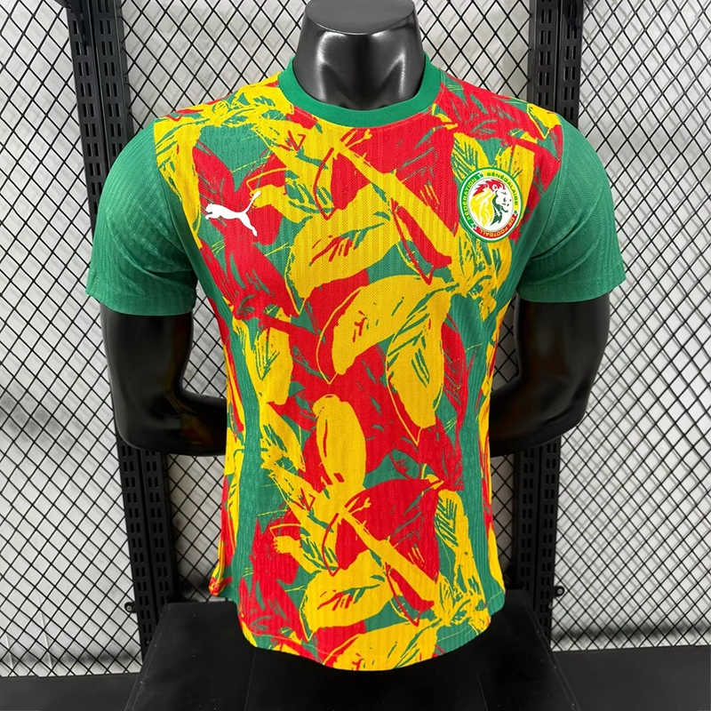 Player 2024-25 Senegal Special Edition Football jersey