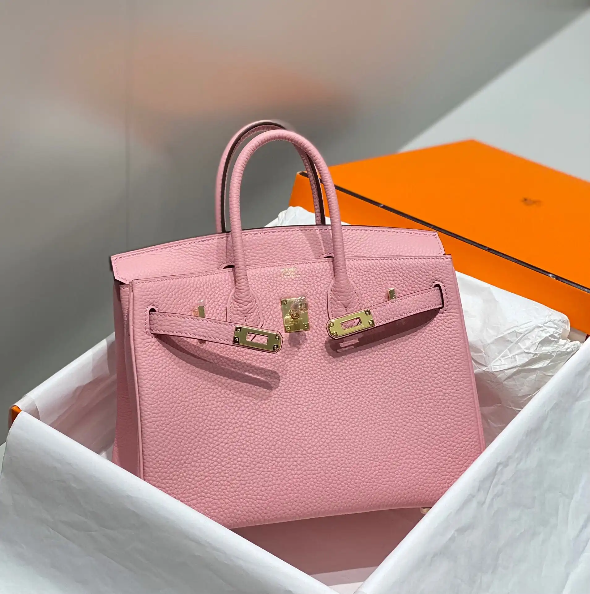 Togo Birkin 25