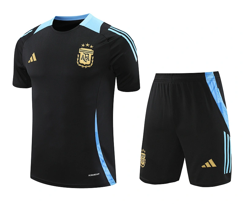 2024-25 Argentina Short-sleeved training clothese