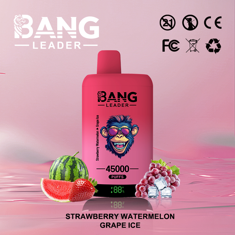 Bang Leader 45K Disposable Vape(3 pieces)