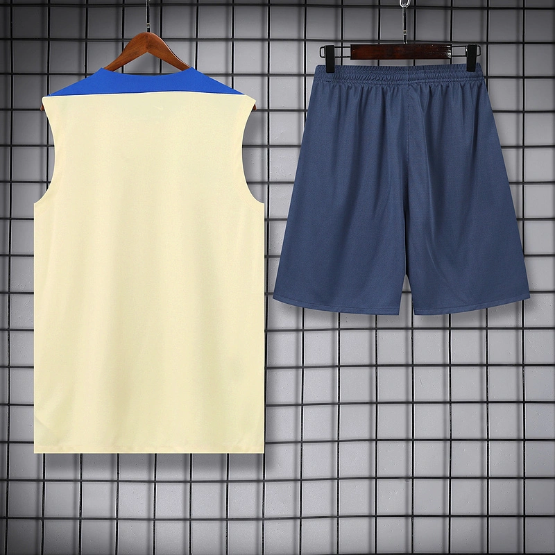 2024-25 Inter Milan Sleeveless Vest Training Wear