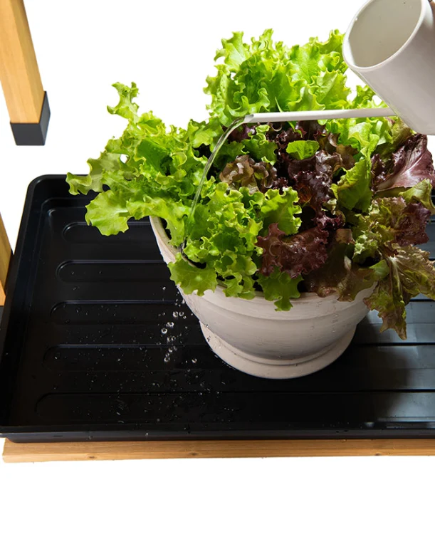 VegTrug Chef's Garden