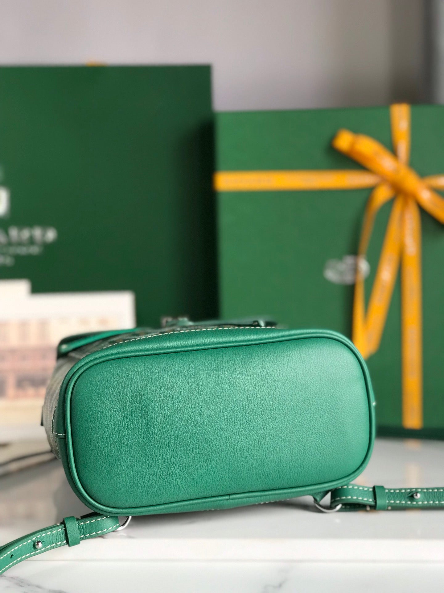 Goyard Alpin Mini Backpack 21 Cm Green Lambskin And Goyardine Canvas