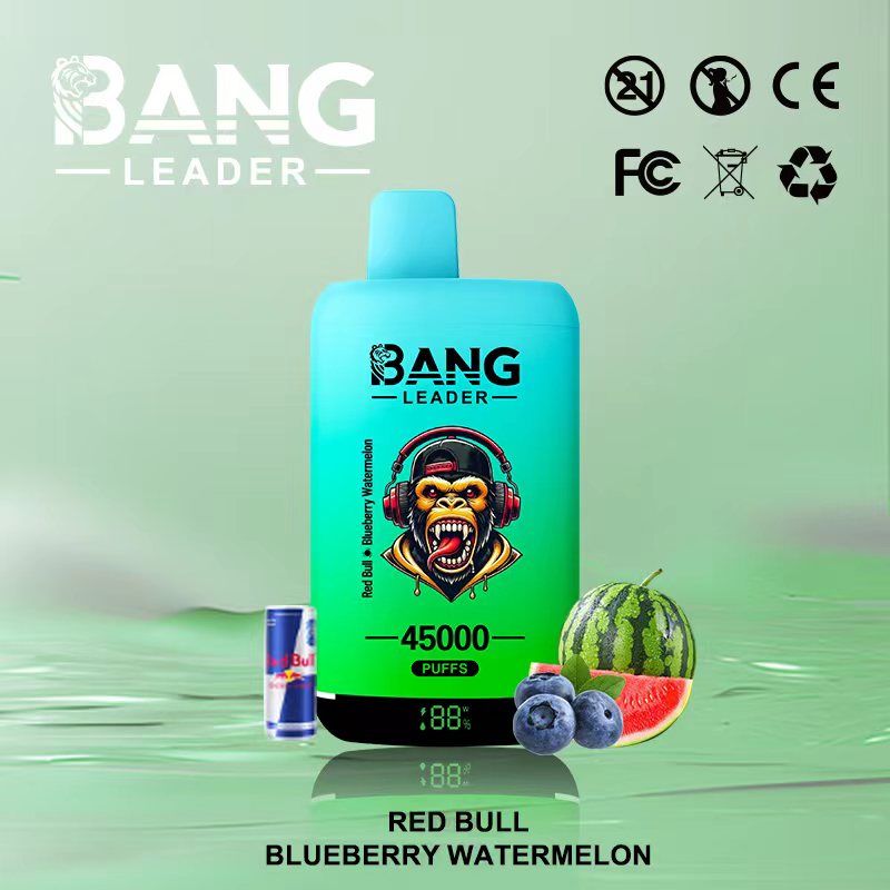 Bang Leader 45K Puffs 2-in-1 Prefilled Vape | Dual Flavor,  Rechargeable
