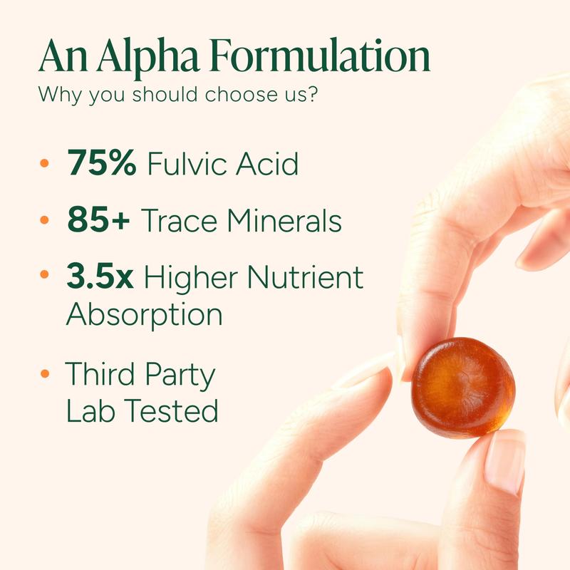 Root Labs Alpha Shilajit Gummies 4000 mg | Energy, Stamina & Focus | Zero Sugar | KSM-66 Ashwagandha, Tongkat Ali, Maca Root | 60 Pack