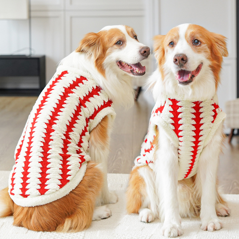 Cute dog clothes Christmas style