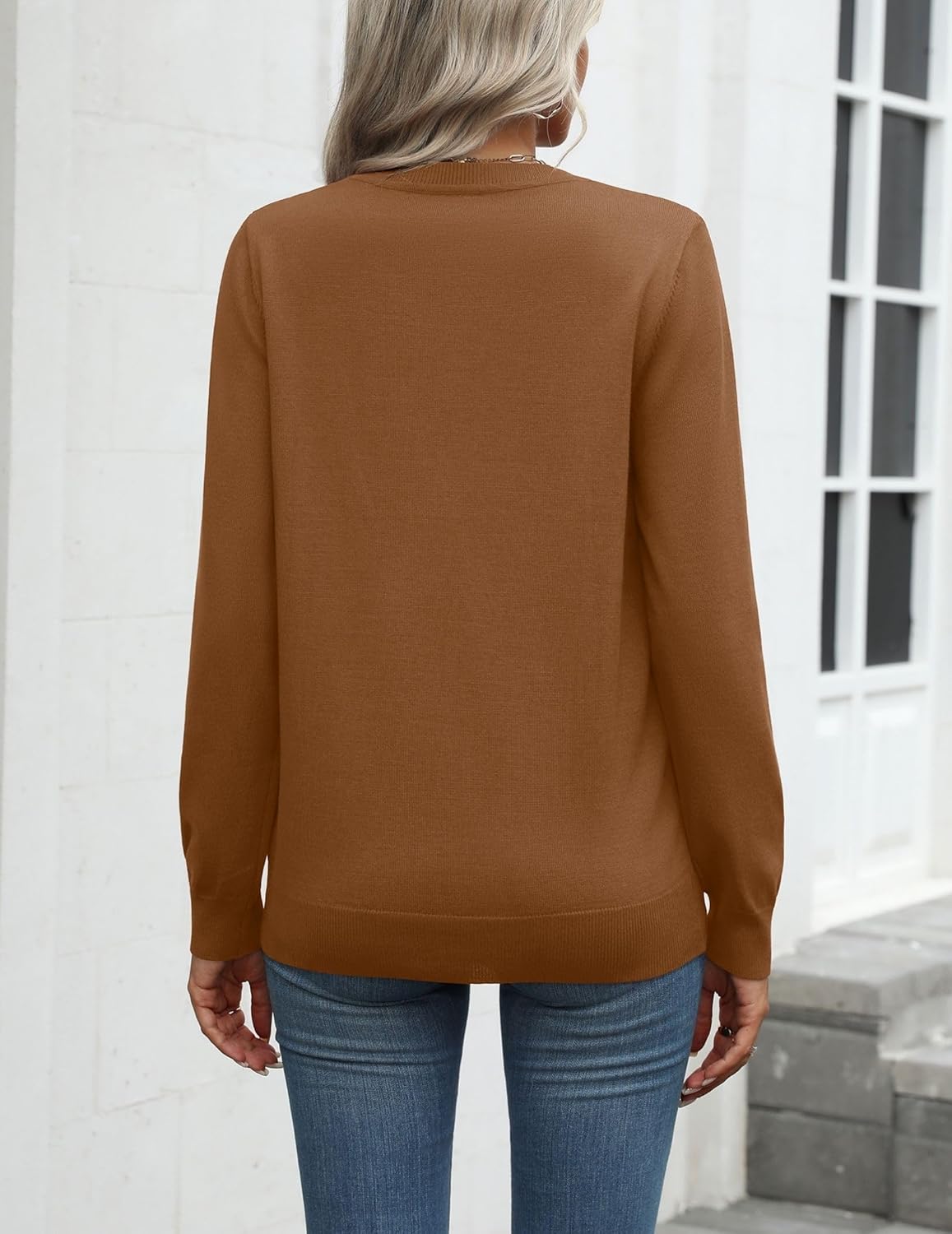 Zeagoo Womens 2025 Fall Sweaters Long Sleeve Tops Classic Crew Neck Pullover Sweaters Loose Dressy Casual Basic Clothes