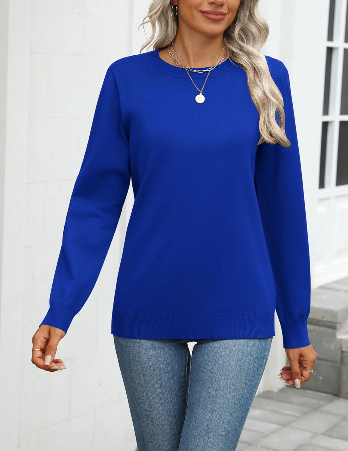 Zeagoo Womens 2025 Fall Sweaters Long Sleeve Tops Classic Crew Neck Pullover Sweaters Loose Dressy Casual Basic Clothes