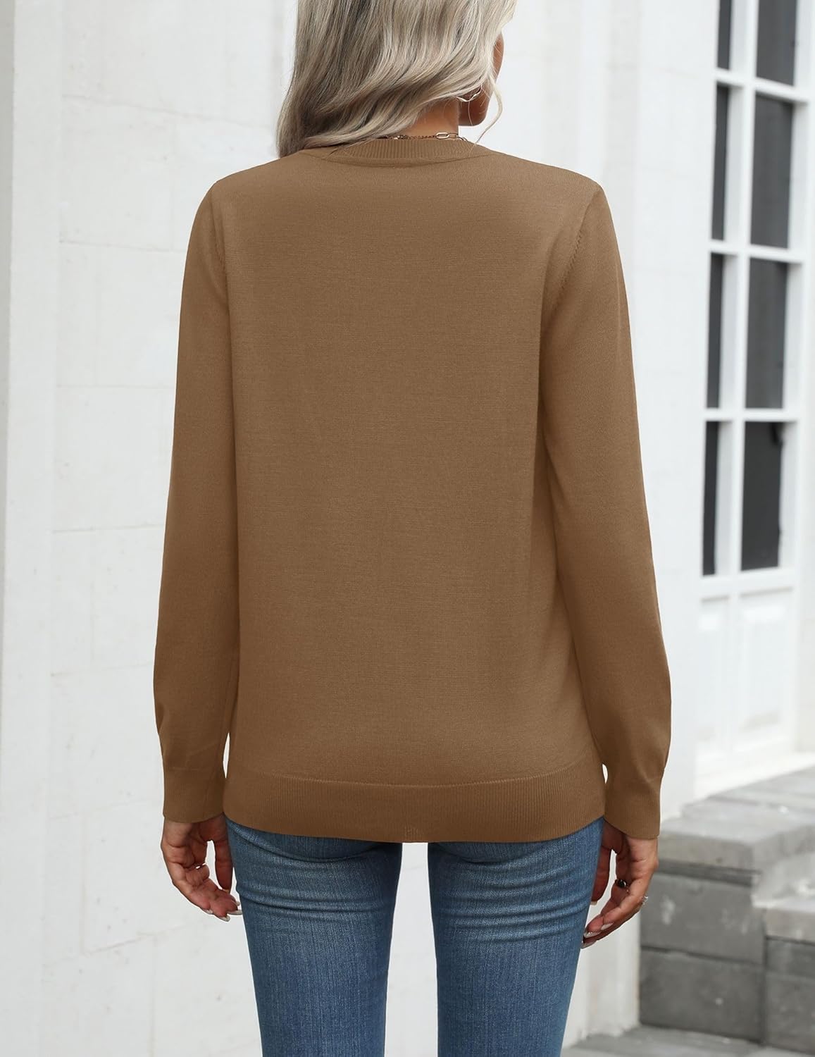 Zeagoo Womens 2025 Fall Sweaters Long Sleeve Tops Classic Crew Neck Pullover Sweaters Loose Dressy Casual Basic Clothes