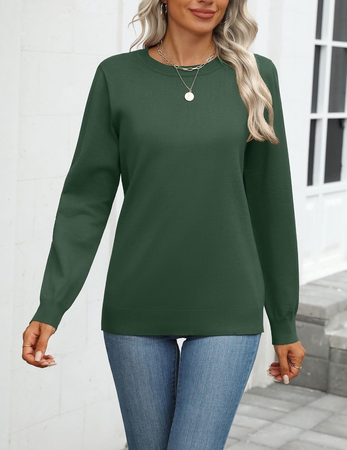 Zeagoo Womens 2025 Fall Sweaters Long Sleeve Tops Classic Crew Neck Pullover Sweaters Loose Dressy Casual Basic Clothes