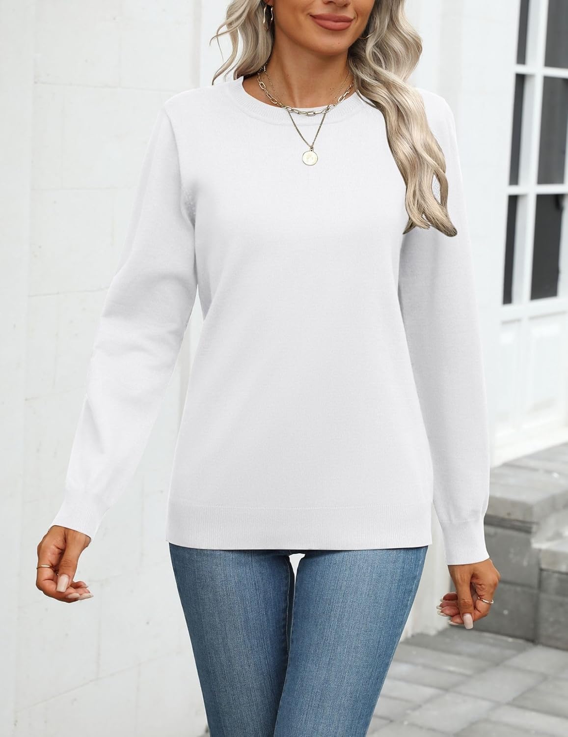 Zeagoo Womens 2025 Fall Sweaters Long Sleeve Tops Classic Crew Neck Pullover Sweaters Loose Dressy Casual Basic Clothes